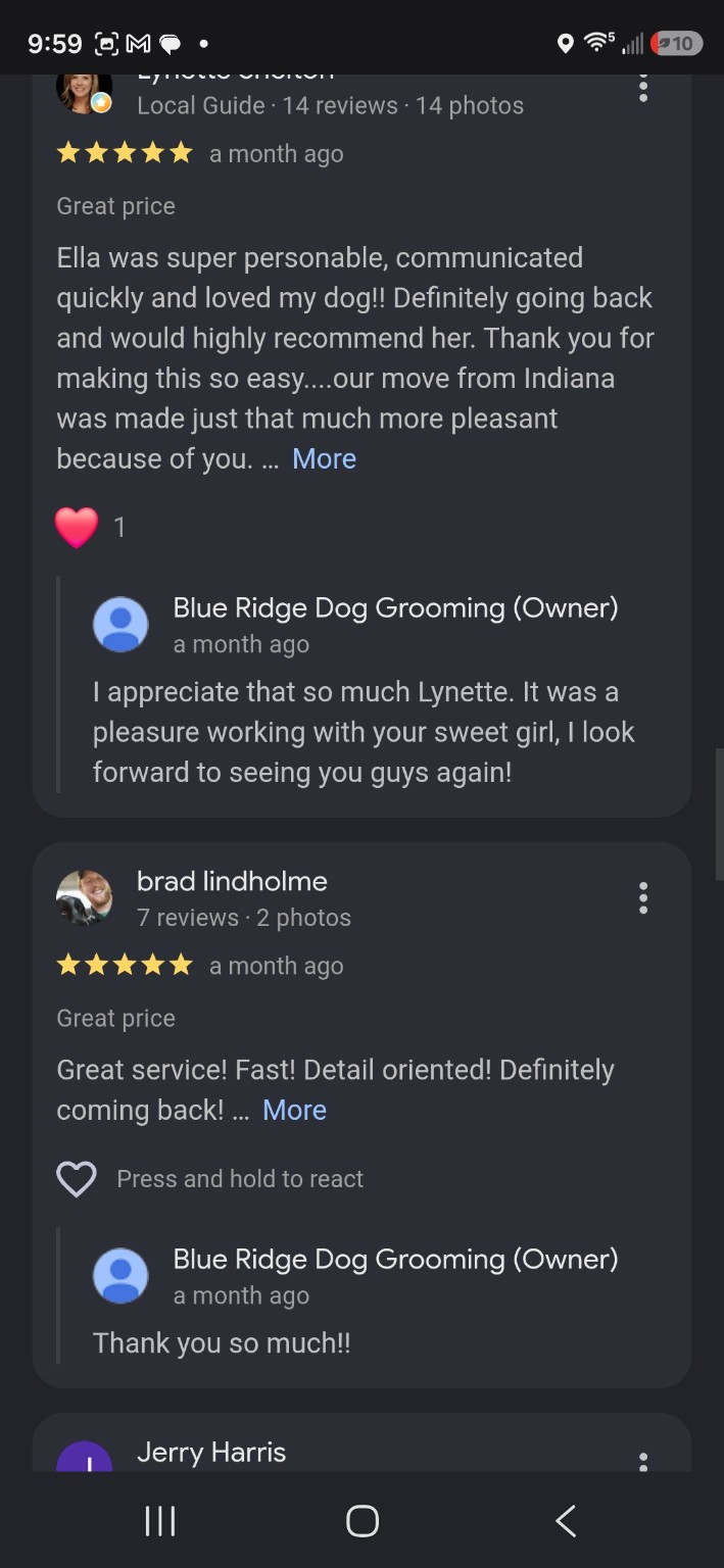 Blue Ridge Dog Grooming client photo
