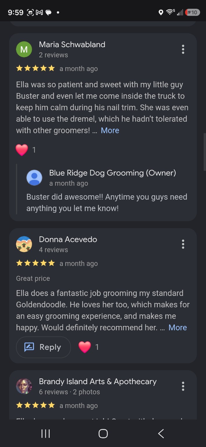 Blue Ridge Dog Grooming client photo