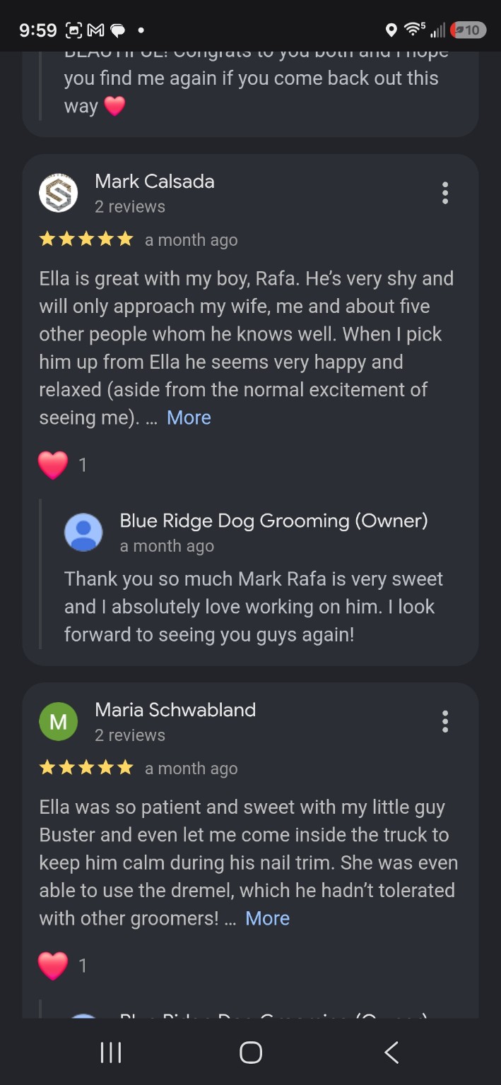 Blue Ridge Dog Grooming client photo