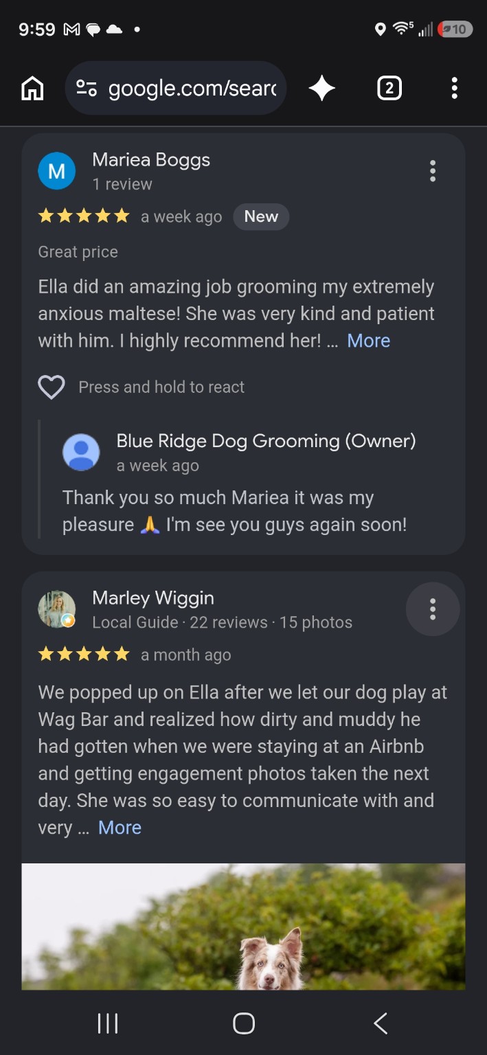 Blue Ridge Dog Grooming client photo
